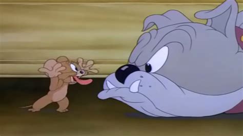 name of dog in tom and jerry